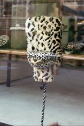 Anthropomorphous Beings