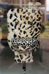 Anthropomorphous Beings