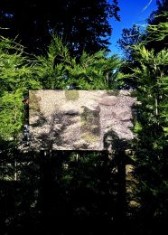 The Art of Garden Maintenance