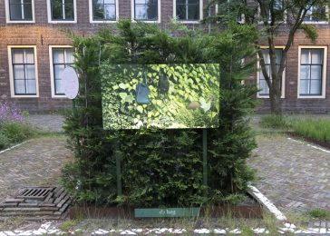 The Art of Garden Maintenance