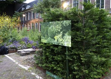 The Art of Garden Maintenance