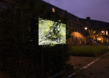 The Art of Garden Maintenance