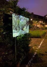 The Art of Garden Maintenance