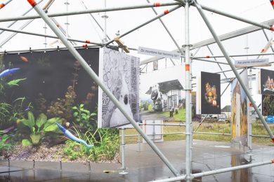 Biophilia