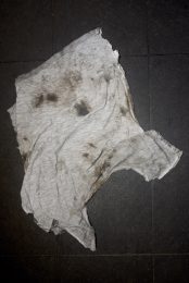 Stories about recycling
